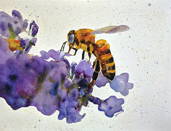 Bee on Lavender Watercolor Painting by Artist Penny Winn Turquoise Trail Lavender Farm, Madrid New Mexico